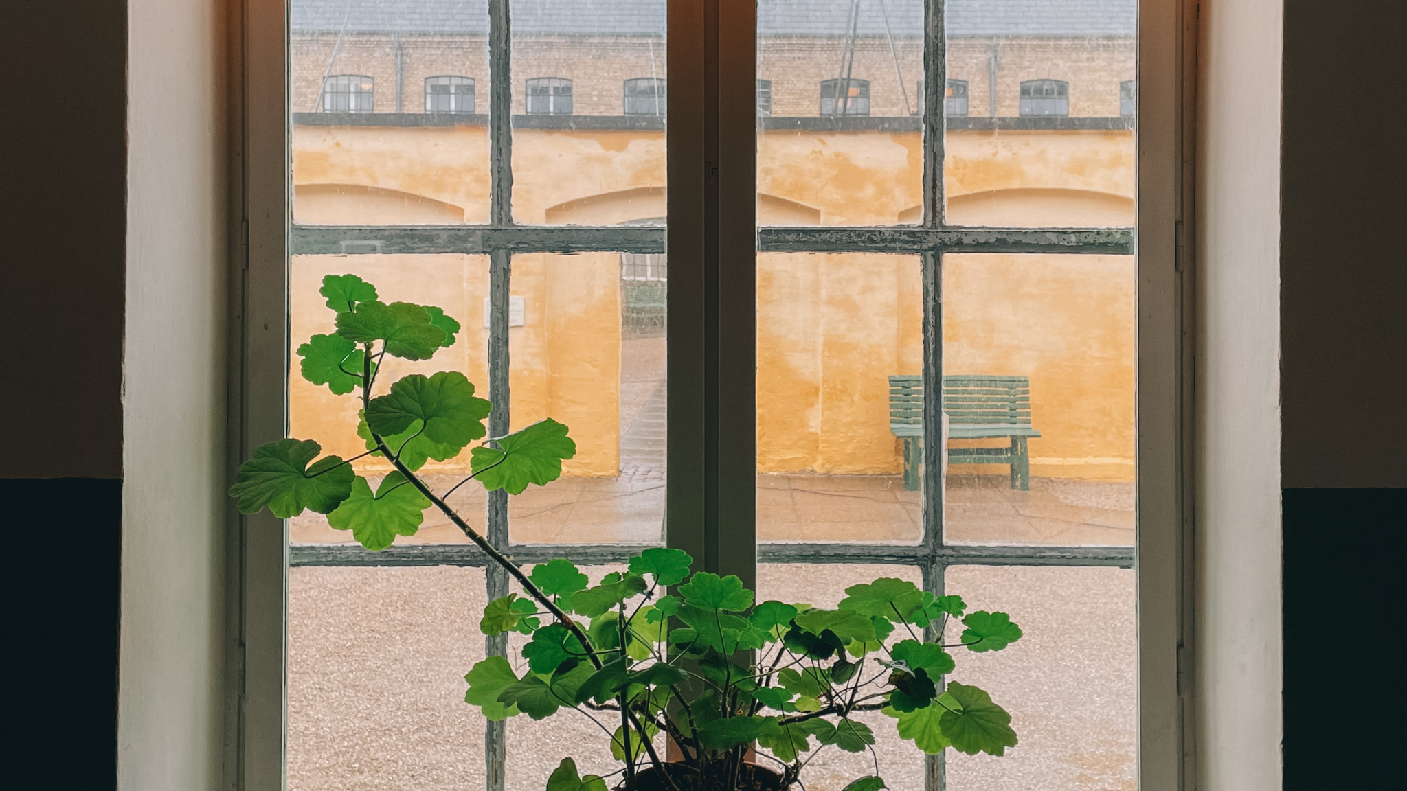 Danmarks Forsorgsmuseum (foto Søren Brønserud)