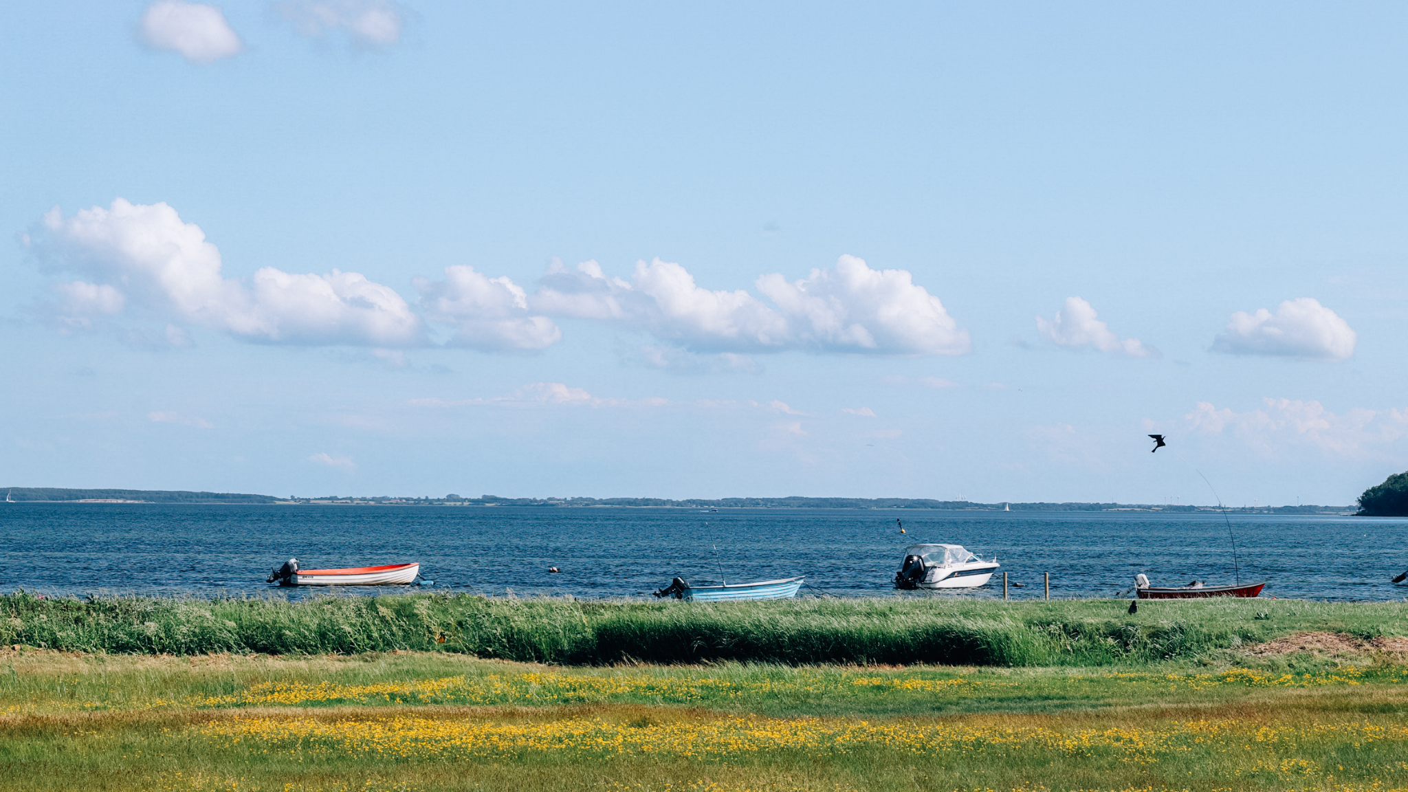Skårupøre