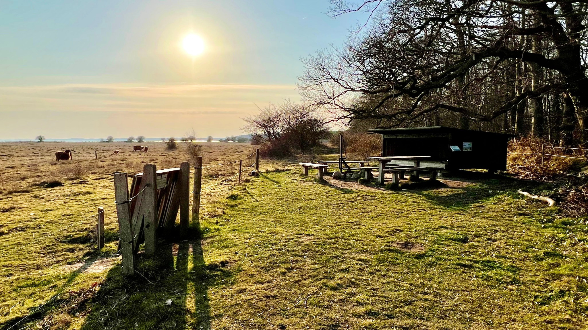 Thurø