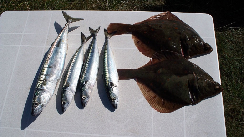 Sønderkobbel Strand Camping