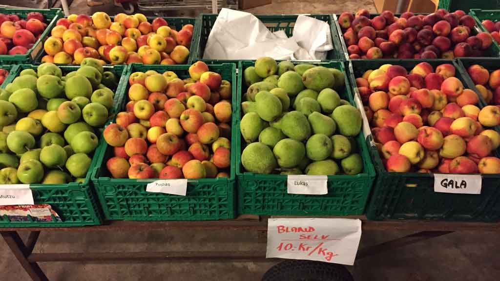 Stevninggård Frugt og bær