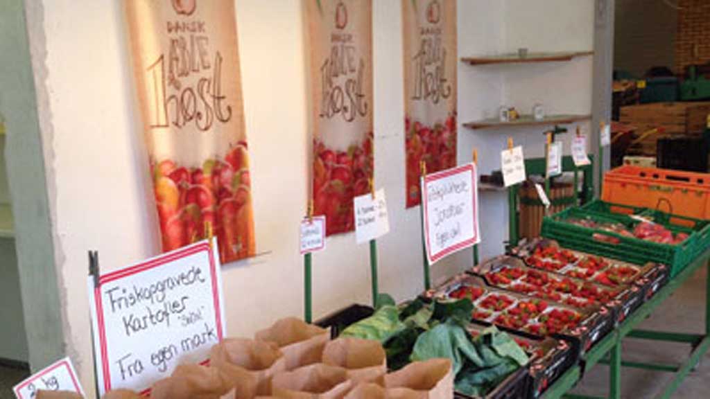 Hestehavegård Frugtplantage