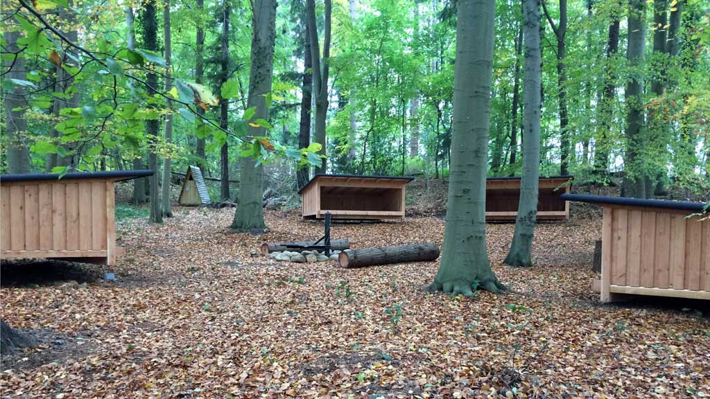 Kollund Skov - Shelter site