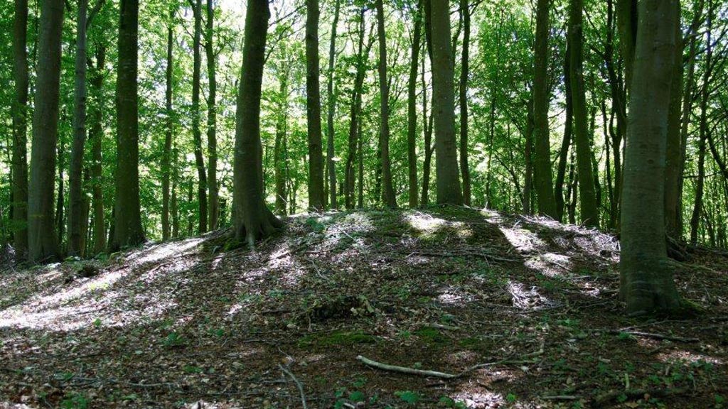 Der Sundeved Wanderweg