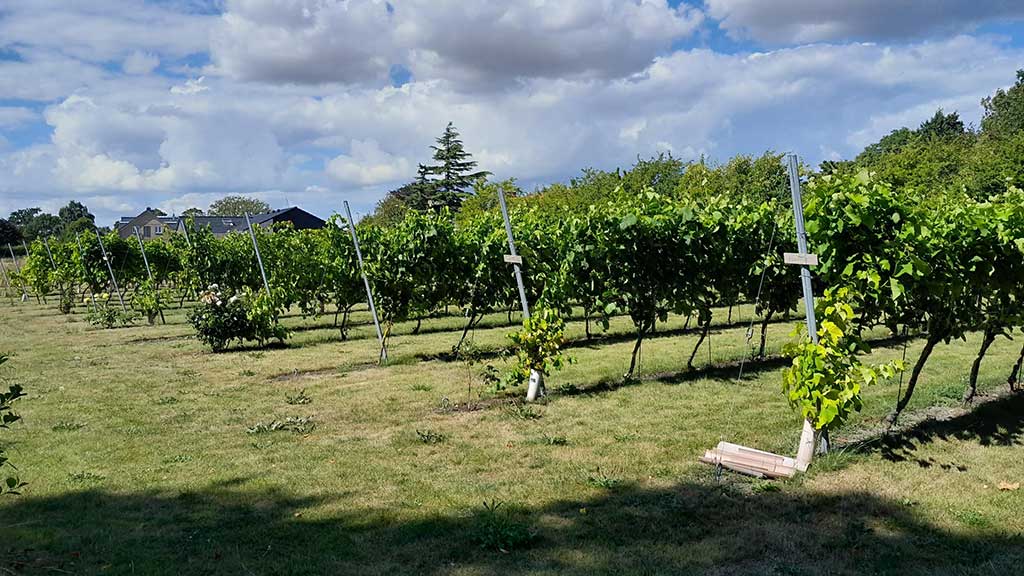 Vingårdens - Ferienwohnung
