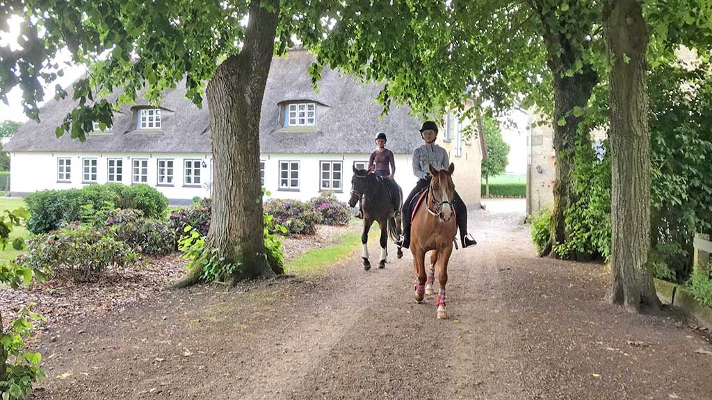 Reiten und Spaß mit den Tieren bei Bistoft Sonne und Strand