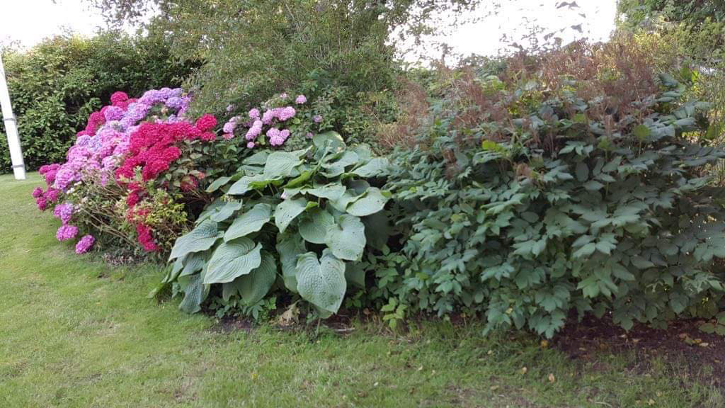 Mommark Holiday Home