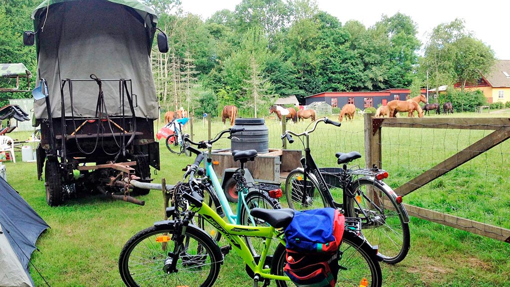 Lusig Skov - Hay-Hotel Shelter and Tent site