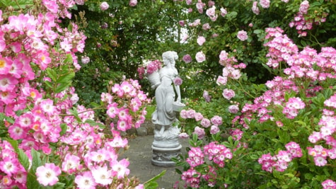 Haveskulptur i et væld af lysrødt i Rosenhaven Frederiksgård