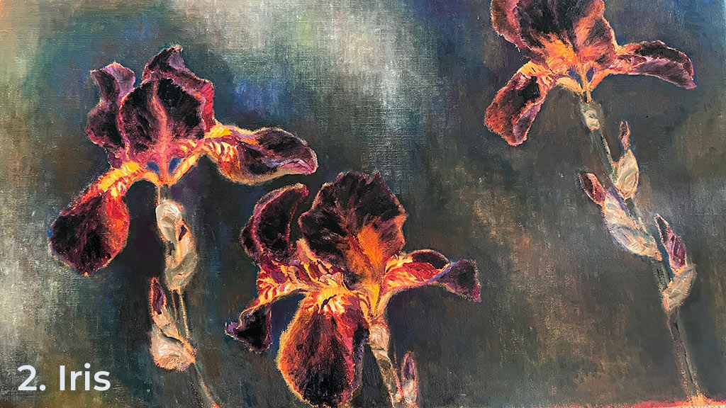 Dea_Enna-2025-Foto2-Iris