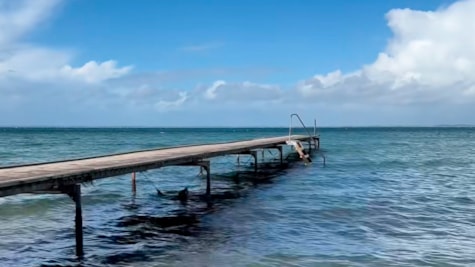 Badebro ved Købingsmark Strand på øen Als