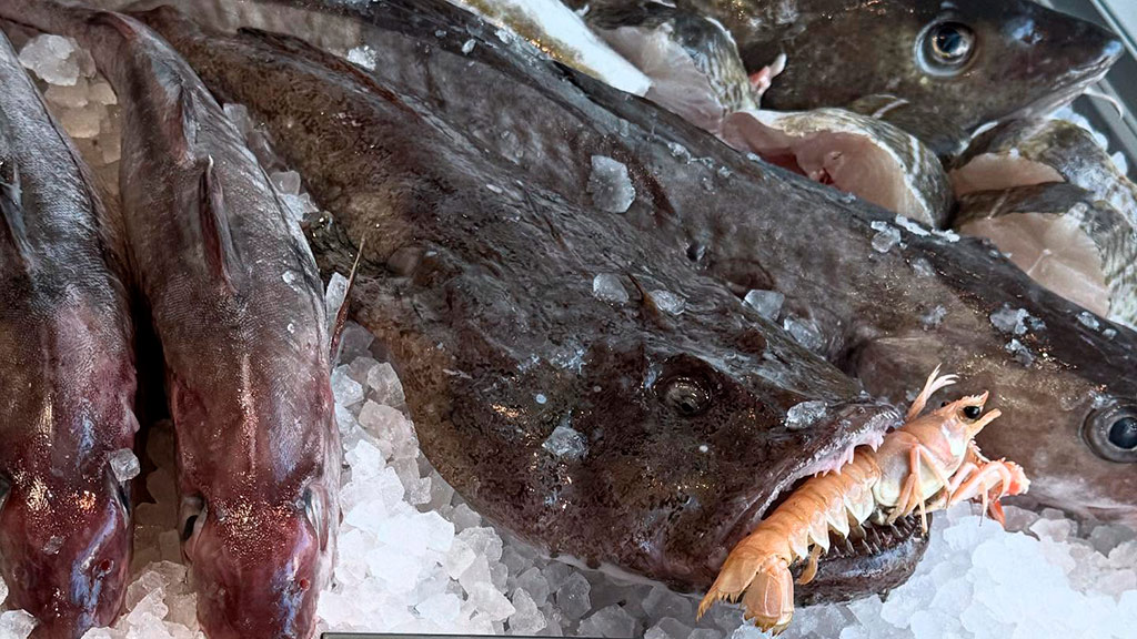 Havets Perle Sønderborg – dein Fischhändler auf der Insel Als