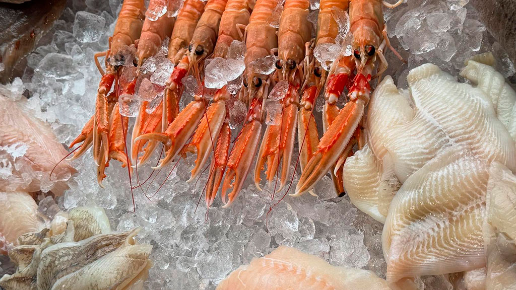 Havets Perle Sønderborg – dein Fischhändler auf der Insel Als