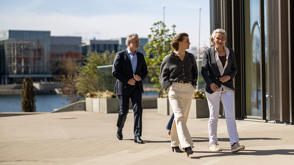 Meetings and conferences at Alsik Hotel and Spa in Sønderborg on the island of Als
