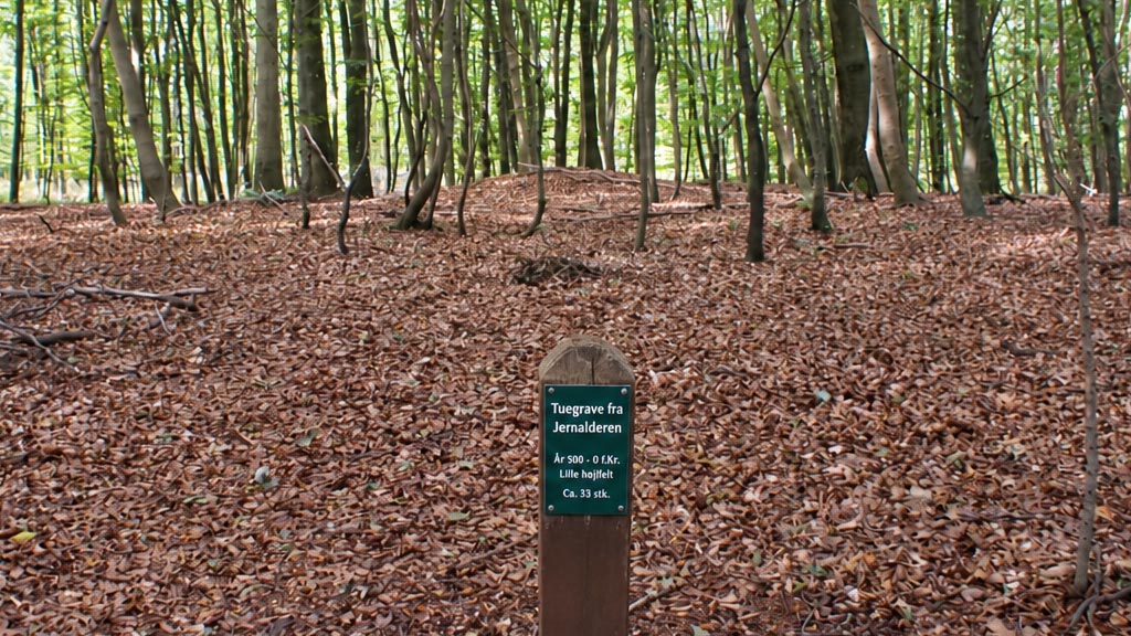 Die Flachgrabhügel, Tuegravene in Nørreskoven auf Als