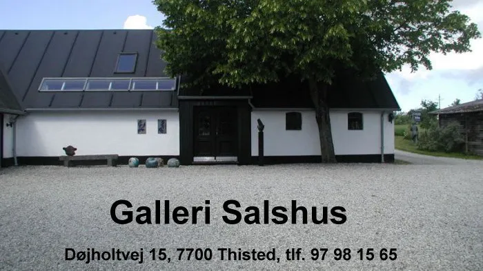 Galleri Salshus