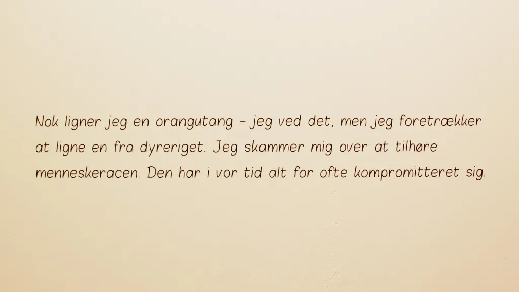 Kirsten Kjærs Museum - citat