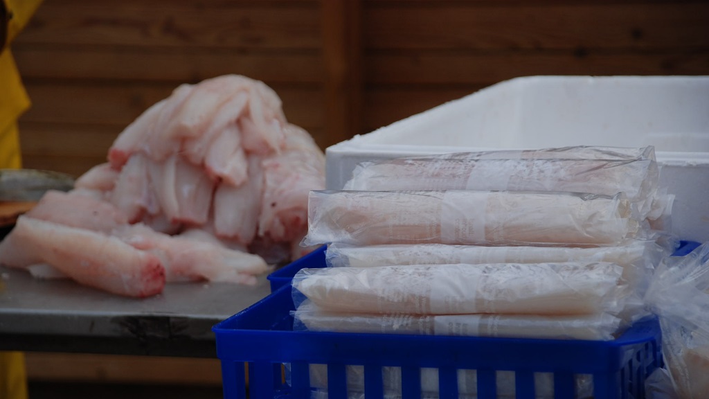 Stay overnight at Thy Feriepark - and go angling on the Yellow Reef