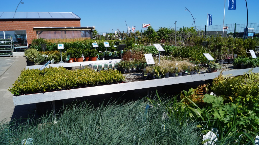 Blomstertorvet - Planter