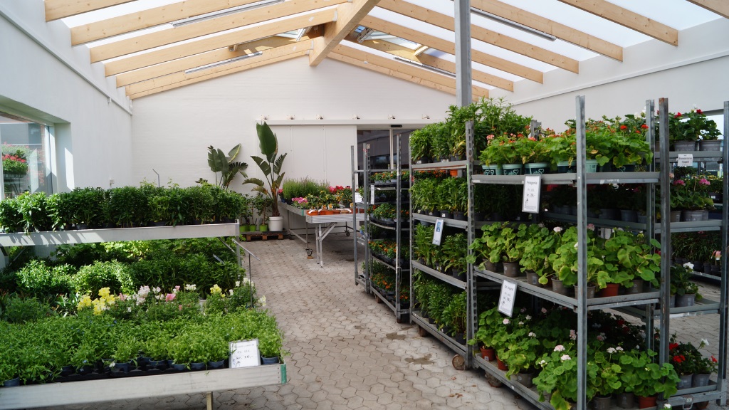 Blomstertorvet - Væksthus