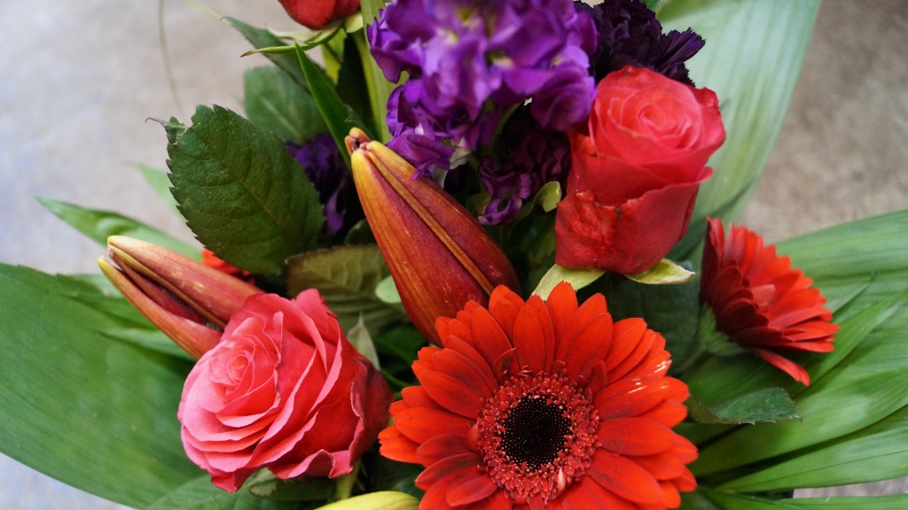 Blomstertorvet - Buke