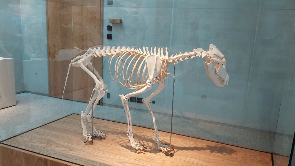 National Park Center Thy - Vorupør