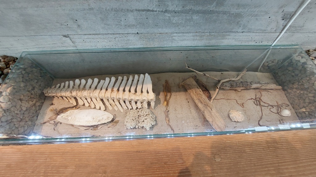 Svaneholmhus - Thy National Park Info Center