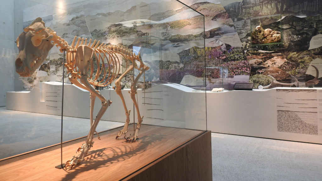 National Park Center Thy - Vorupør