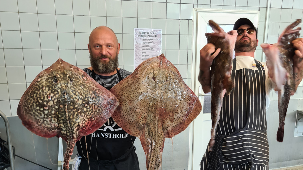 Hook & Cook - Fisch auf der Theke am 12., 13. und 14. September 2026