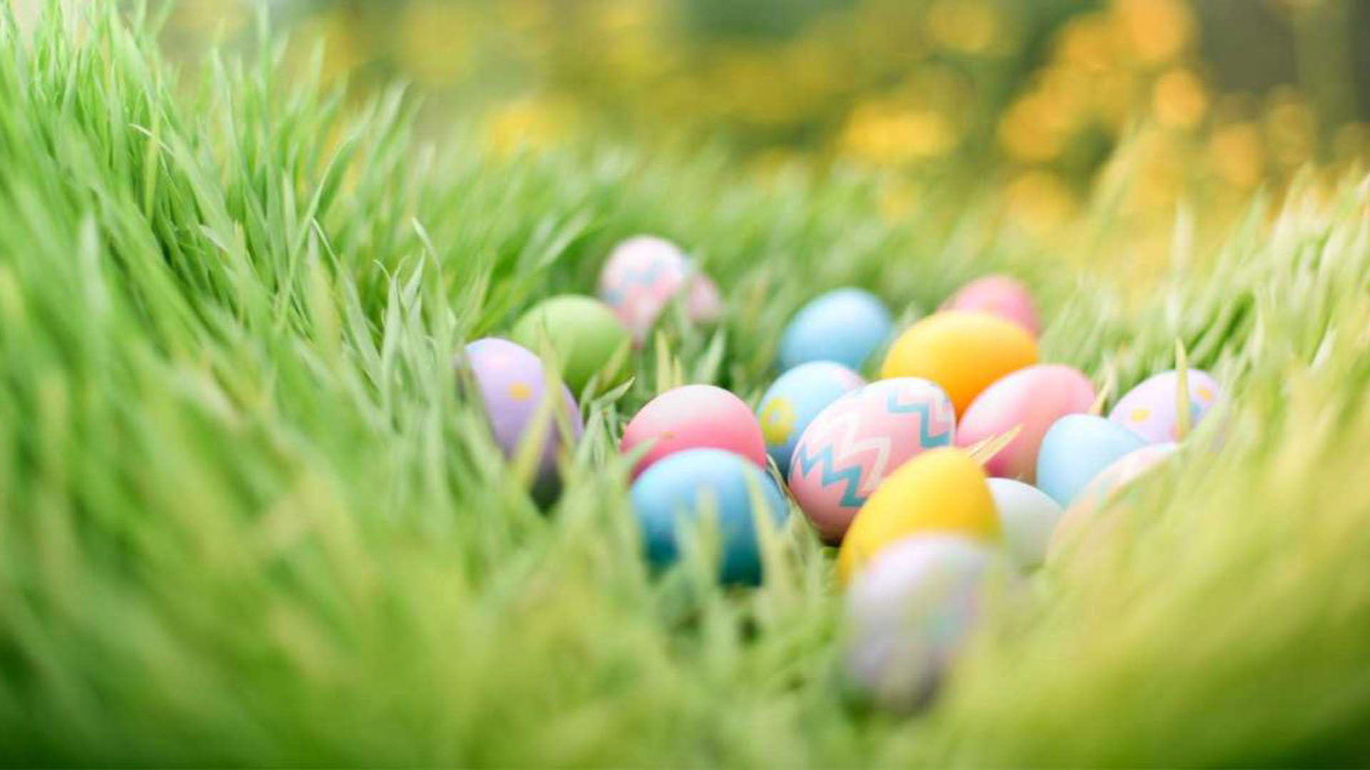 Påske i Herlige Hanstholm