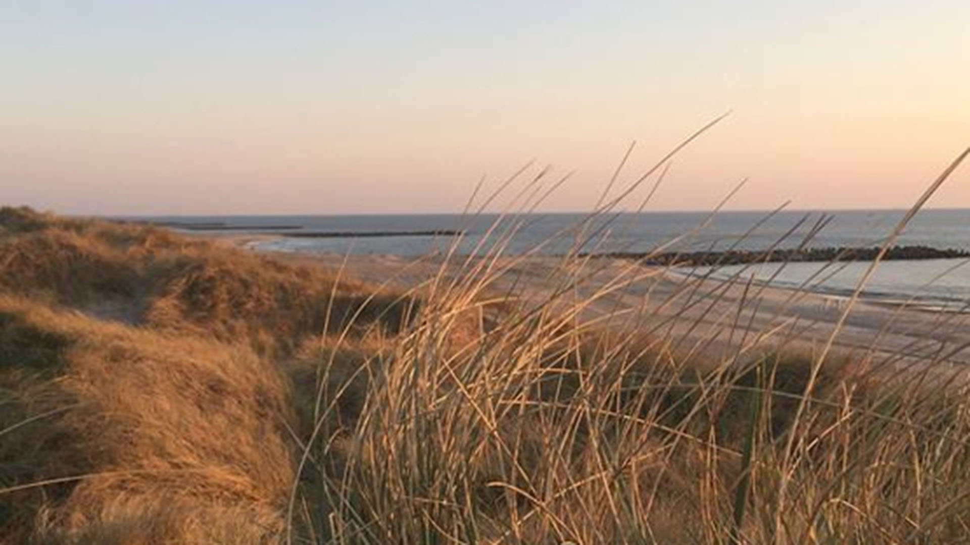 Bestil 2 døgn i hyggelig ferielejlighed med 1 dags gratis MTB