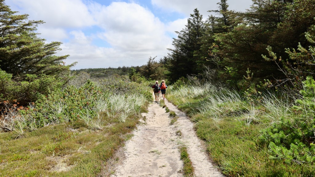 Create your own hiking adventure 