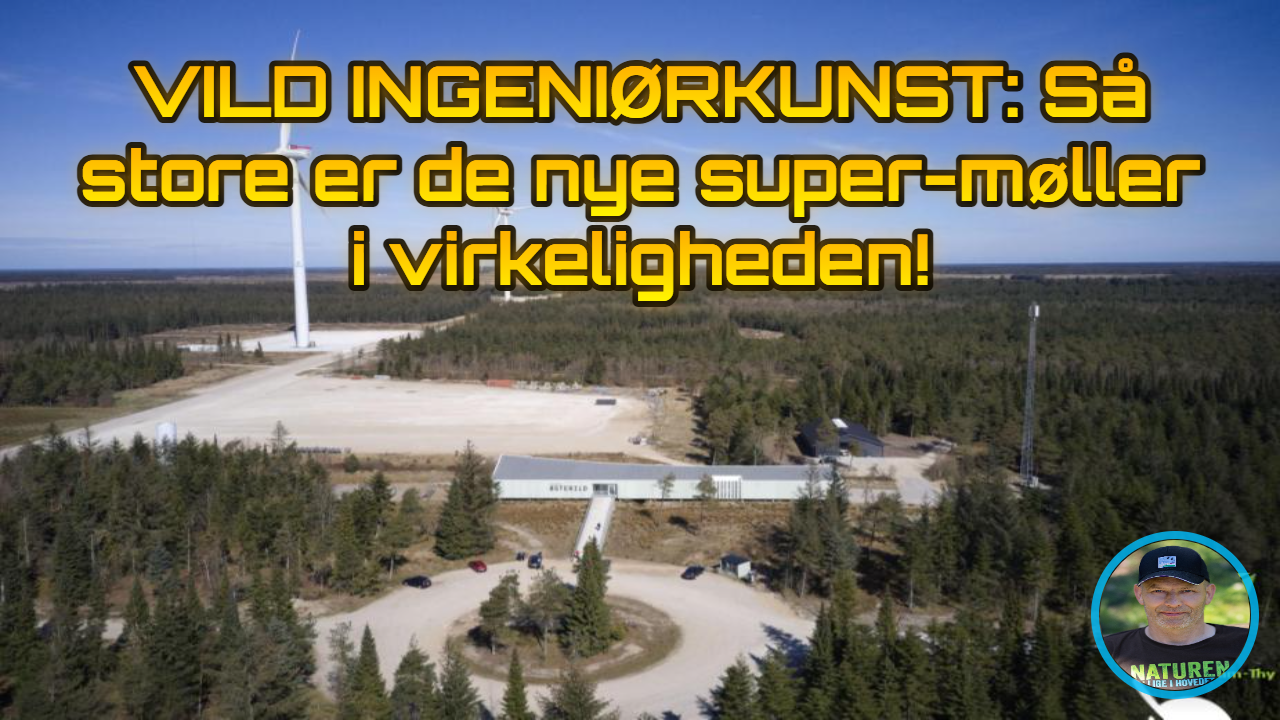 Et luftfoto af Østerild Testcenter viser gigantiske vindmøller over en skov, med centerbygning og gul tekst om vild ingeniørkunst.