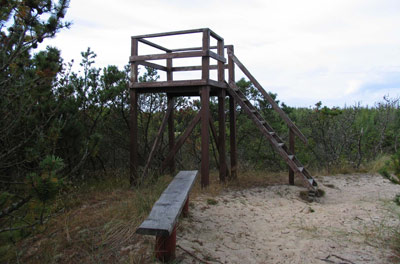 Shelter in Stenbjerg Dune Plantation in Thy National Park