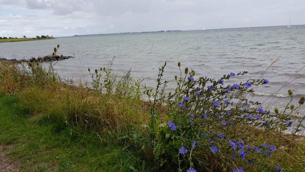 The Sea View - Karin Sand Pedersen