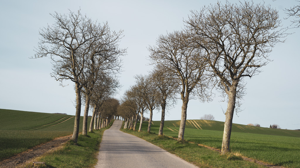 On Langeland you will find plenty of walks for all levels