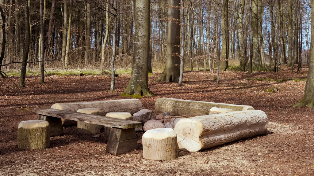 Campfire site in Vestre Stigtehave - good opportunity for child-friendly activities on Langeland
