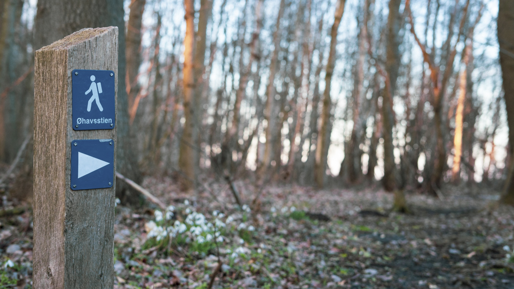 Vandreferie for hele familien på Langeland