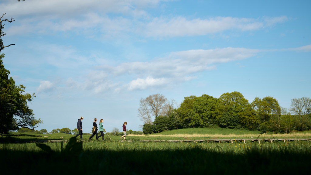 Against the current sound hiking on Langeland