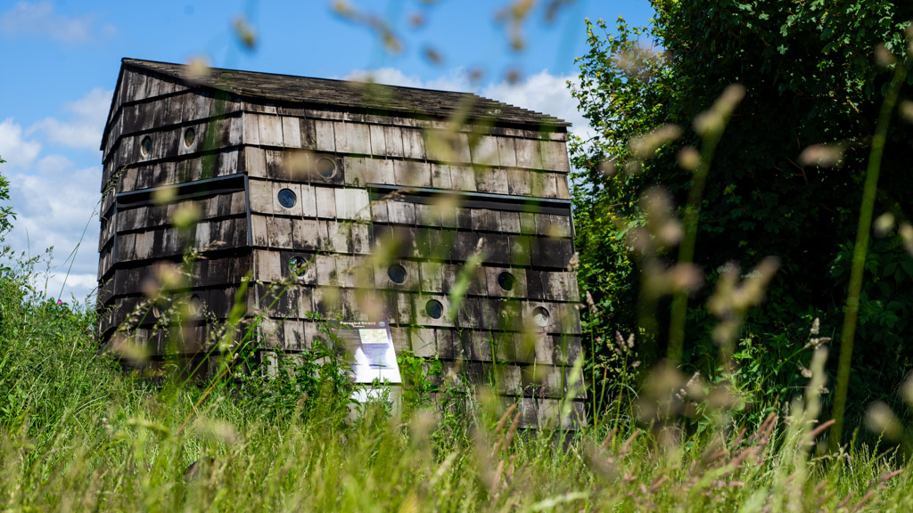 Shelter Pæregård strand