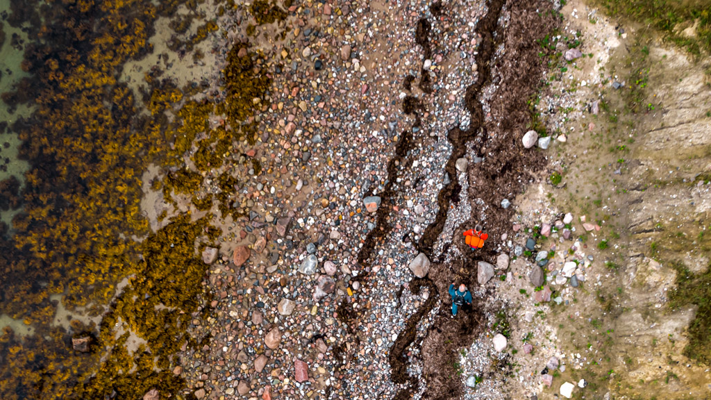 Hiking on Langeland - take a walk on the beach