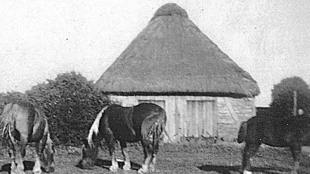 Sinebjerg Markhus anno 1953