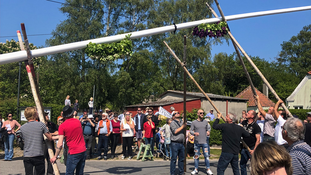 Rejsning af majtræet på Strynø 2019