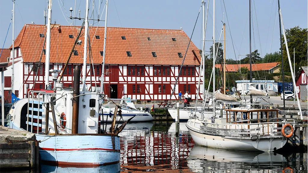En sommerdag på Lundeborg Havn