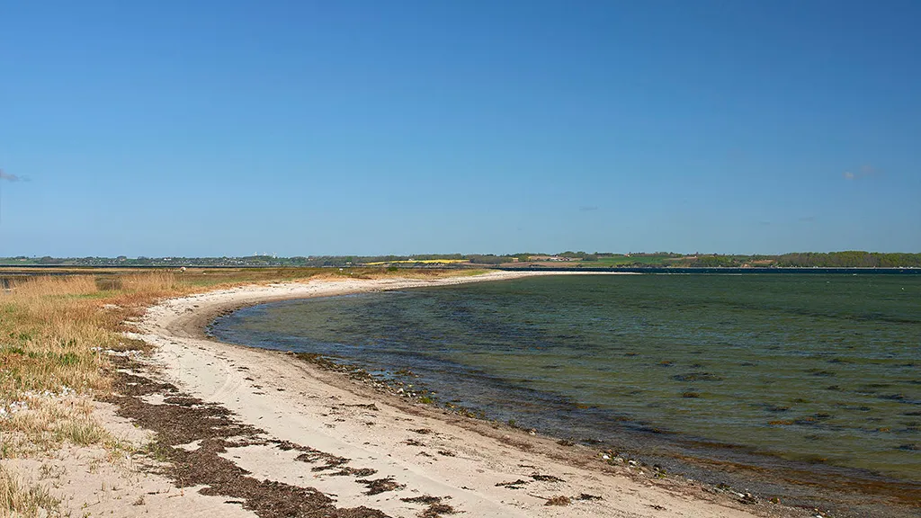 Stranden i den nordøstlige ende af Lyø fotograferet mod nord