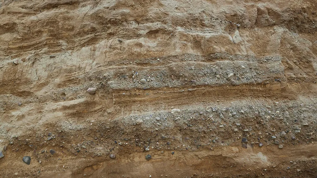 Detaljebillede af lerlag på Bagenkop Bjerg