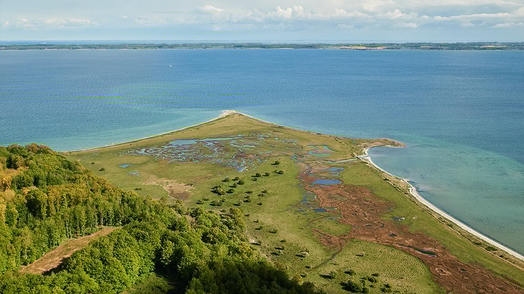 Geopark Thurø Østerskov og Thurø Rev Sonne und Strand