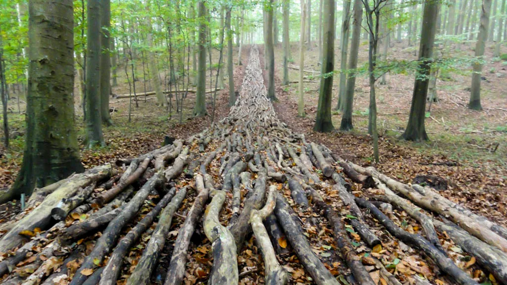 TICKON: Organic Highway, Mikael Hansen