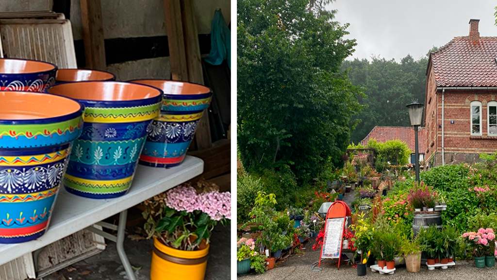 Specialty shop on Langeland with Mediterranean flairFind a large selection of wines, speciality spirits, plants, Italian specialities and other delicacies