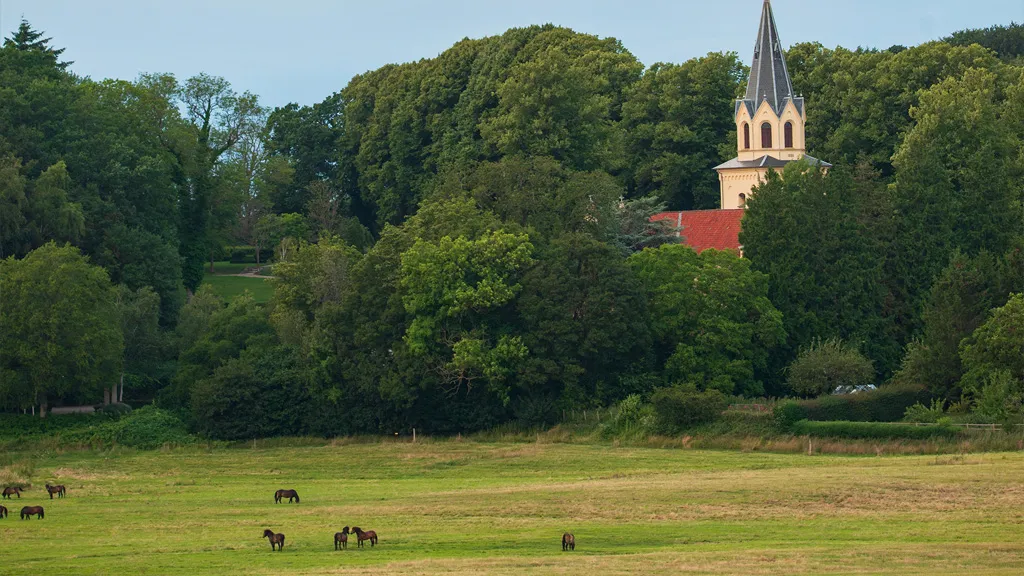 Flådet with wild horses and Tranekær Church in the background